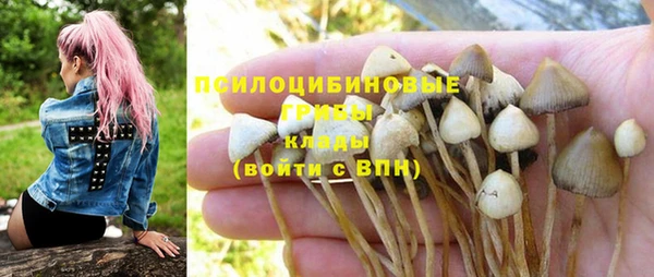 a pvp Абаза