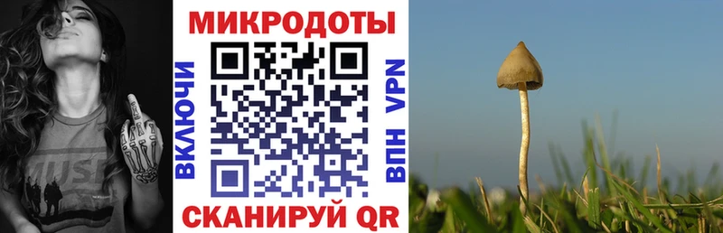 Псилоцибиновые грибы Cubensis  Емва 